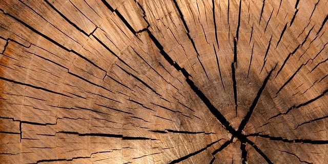 lumber-84678_640
